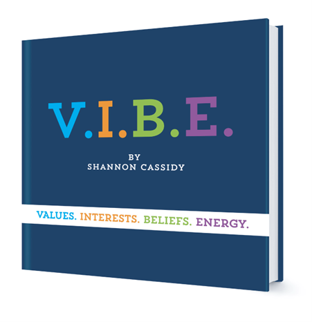 V.I.B.E. book cover
